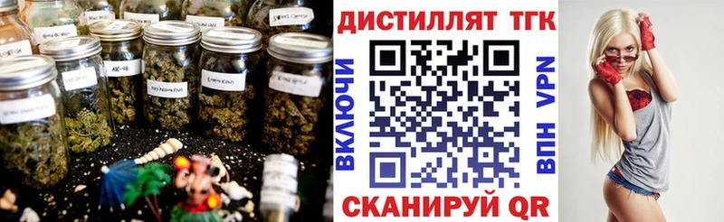 Купить закладки  Дальнегорск  ТГК гашишное масло 